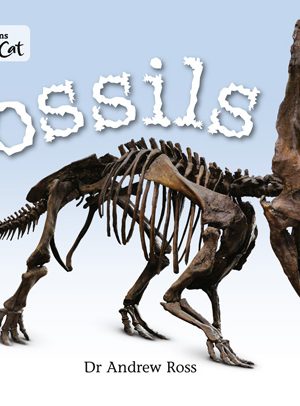Fossils