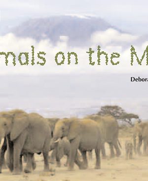 Animals on the Move