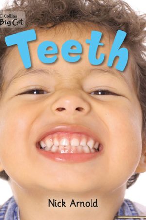 Teeth