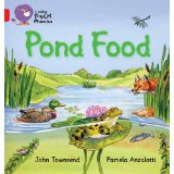 Pond Food