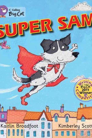 Super Sam