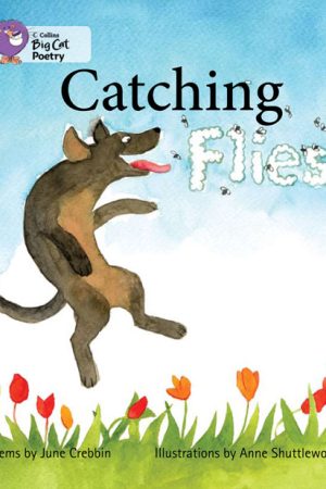 Catching Flies