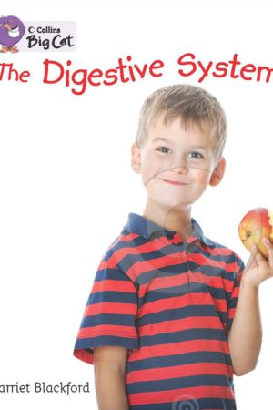 How the Body Works: The Digestive System