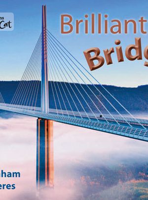 Brilliant Bridges