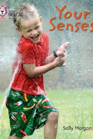The Senses
