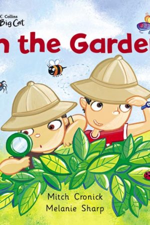 Big Cat In The Garden Workbook PB