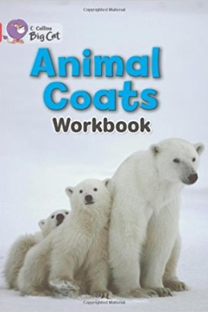 Big Cat Animal Coats Workbook PB
