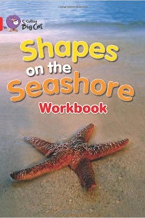 Big Cat Shapes On Seashore Workbook PB