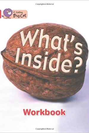 Big Cat What’s Inside Workbook PB