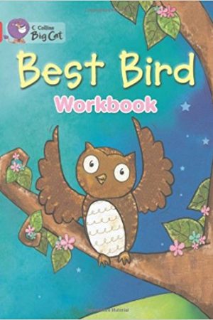 Big Cat Best Bird Workbook PB