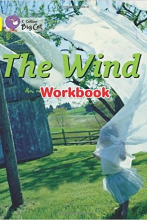 Big Cat Where Is Wind Workbook PB