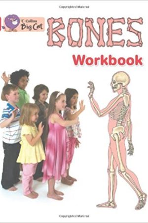 Big Cat Bones Workbook PB