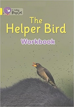 Big Cat Helper Bird Workbook PB