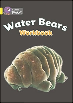 Big Cat Water Bears Workbook PB
