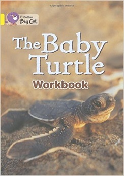 Big Cat Baby Turtle Workbook PB