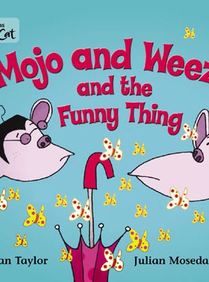 Big Cat Mojo Weeza New Workbook PB