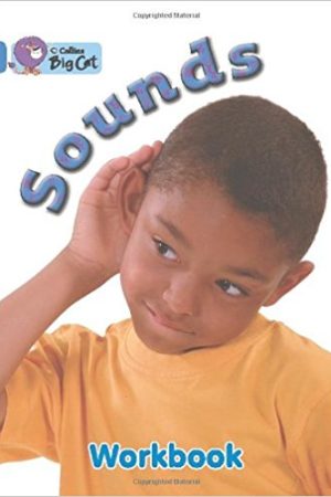Big Cat Sounds Workbook PB