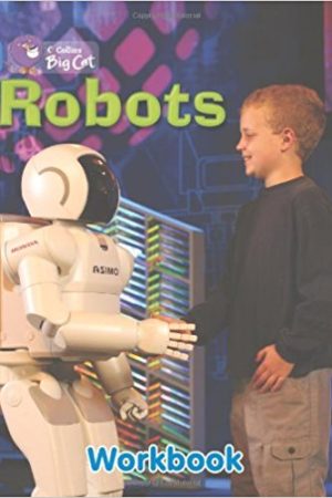 Big Cat Robots Workbook PB