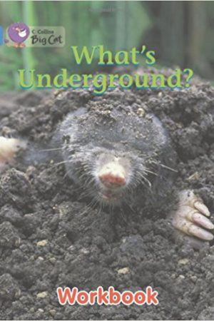 Big Cat Whats Underground Workbook PB