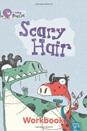 Big Cat Scary Hair Workbook PB
