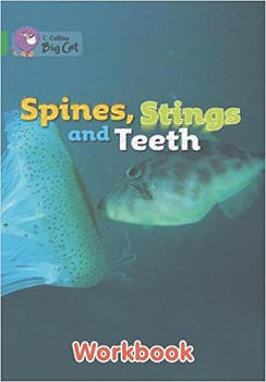 Big Cat Spines, Stings T Workbook PB