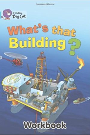 Big Cat What's That Building Workbook PB