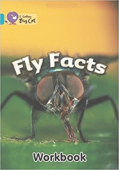 Big Cat Fly Facts Workbook PB