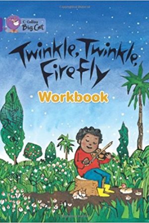 Big Cat Twinkle, Twinkle, Workbook PB