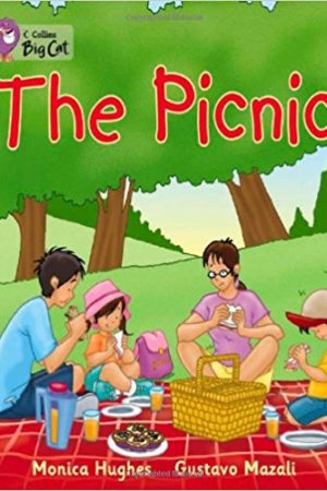 Big Cat Picnic Workbook PB