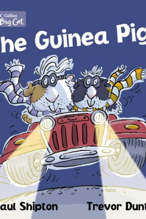 Big Cat Guinea Pigs Workbook PB