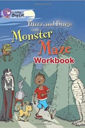Big Cat Buzz Bingo Mon Workbook PB