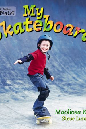 Big Cat My Skateboard Workbook PB