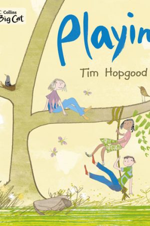 Big Cat Playing Workbook PB