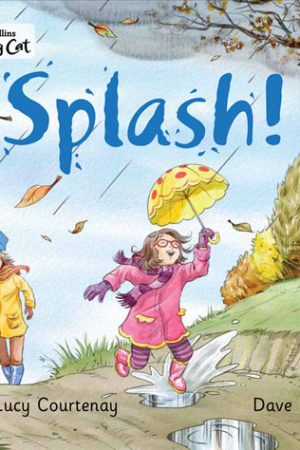 Big Cat Big Splash Workbook PB