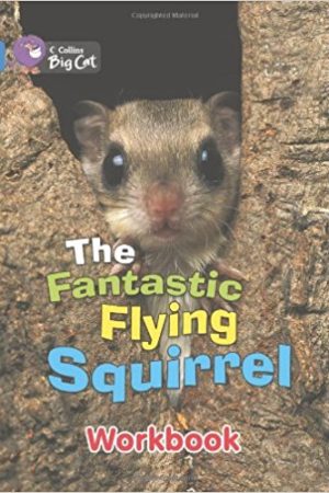 Big Cat Fantastic Flying S Workbook PB