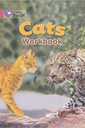 Big Cat Cats Workbook PB