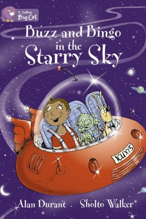 Big Cat Buzz & Bingo in the Starry Sky Workbook PB