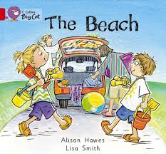 Big Cat Beach Workbook PB