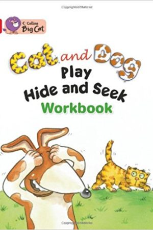 Big Cat Cat Dog Play Hid Workbook PB