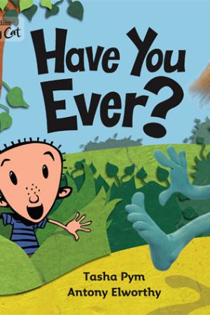 Big Cat Have You Ever Workbook PB