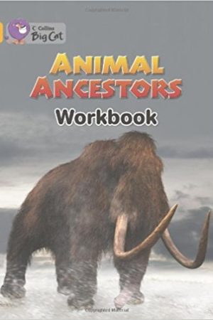 Big Cat Animal Ancestors Workbook PB