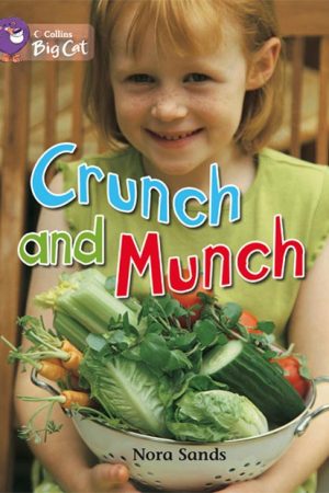 Big Cat Crunch Munch Workbook PB