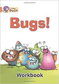 Big Cat Bugs Workbook PB