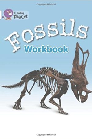 Big Cat Fossils Workbook PB