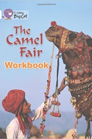 Big Cat Camel Fair Workbook PB
