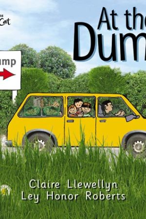Big Cat At Dump Workbook PB