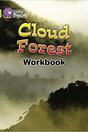 Big Cat Cloud Forest Workbook PB