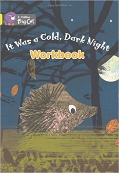 Big Cat It Was A Cold Dark Workbook PB