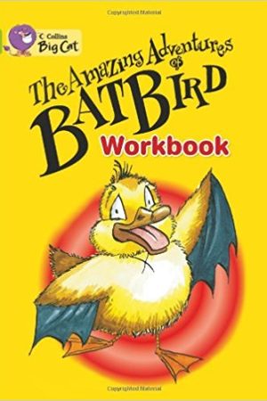 Big Cat Amazing Adventures Workbook PB