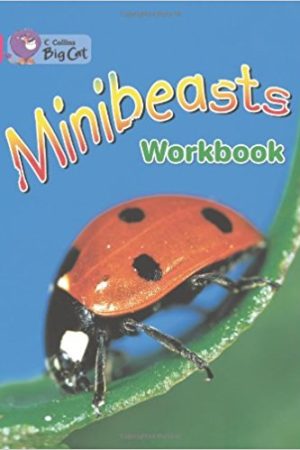 Big Cat Minibeasts Workbook PB